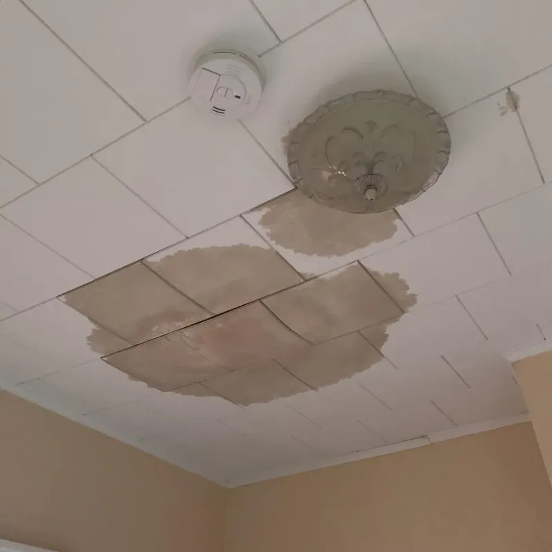 Ceiling Water Damage Repair in Crow Agency, MT