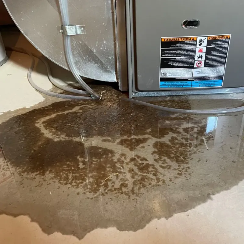 Pipe Burst and Leak Restoration in Crow Agency, MT