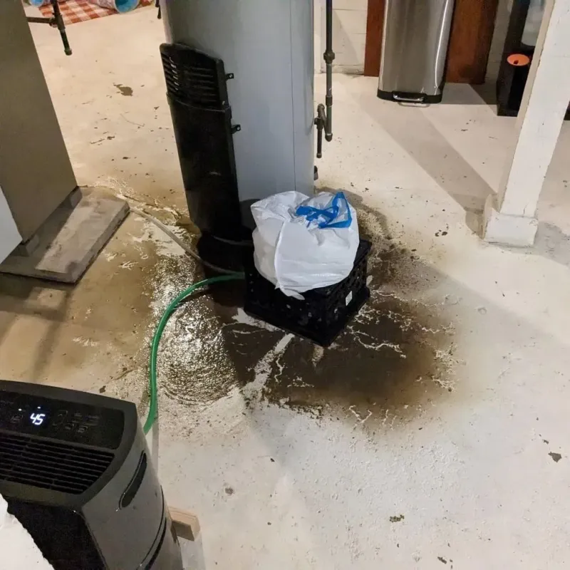Sewage Backup Cleanup Service in Crow Agency, MT
